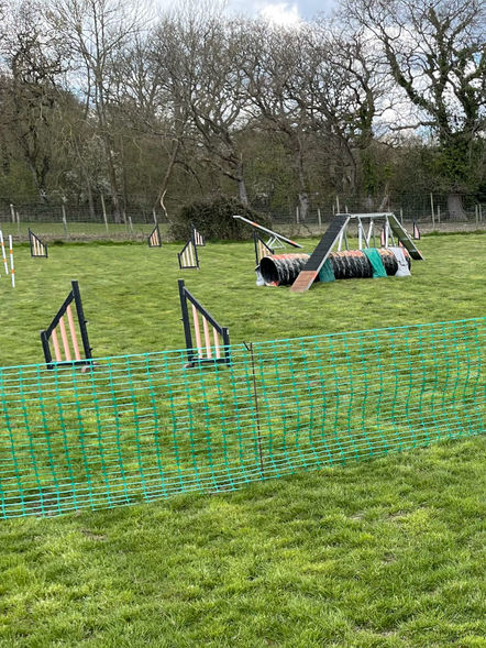 Agility training 