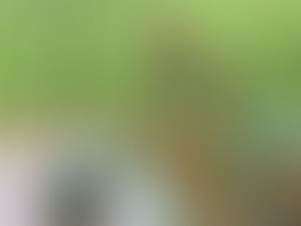 Nr. 57 - 94 | 28./29.06.2021 | ganzes Einsatzgebiet