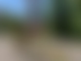 Nr. 35 | 30.05.2022 | Kirchberg Eystrasse