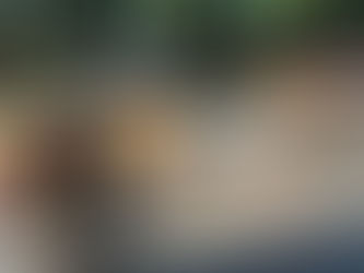 Tag der offenen Tore - Samstag, 21.06.2025