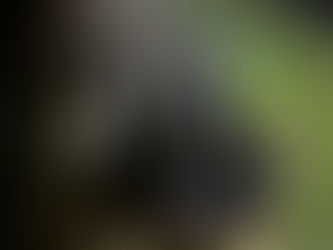 Nr. 34 | 20.05.2022 | Kirchberg Neuhofstrasse