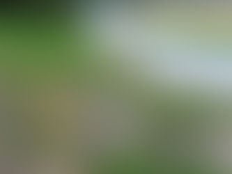 Nr. 122 | 07.08.2021 | Kirchberg Bütikofen