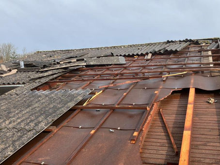 Nr. 18-25 | 31.03.2023 | ganzes Einsatzgebiet