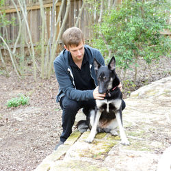 Canine companionship