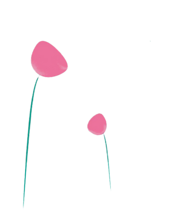 Tg's (1).png