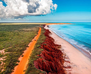 The Turmeric and Health Newsletter for June 2025