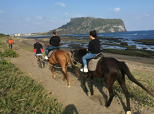 South Korea Jeju Olle | Home Comforts Hikng