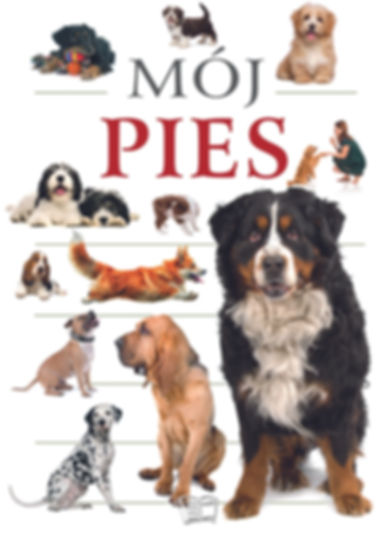 MÓJ PIES