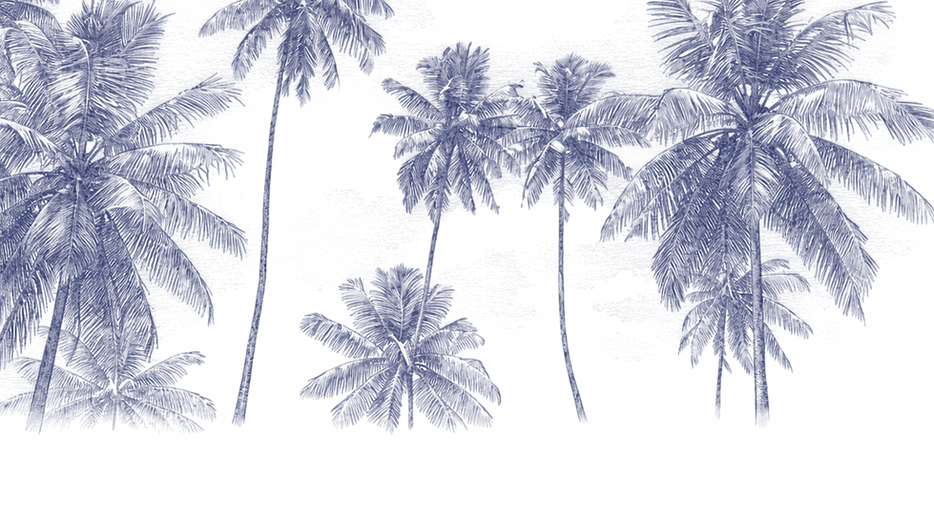 WW - standalone elements (14).png