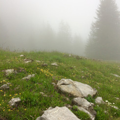 Meditatives Zeichnen