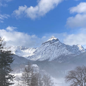 Fr. 29. - So. 31. Januar