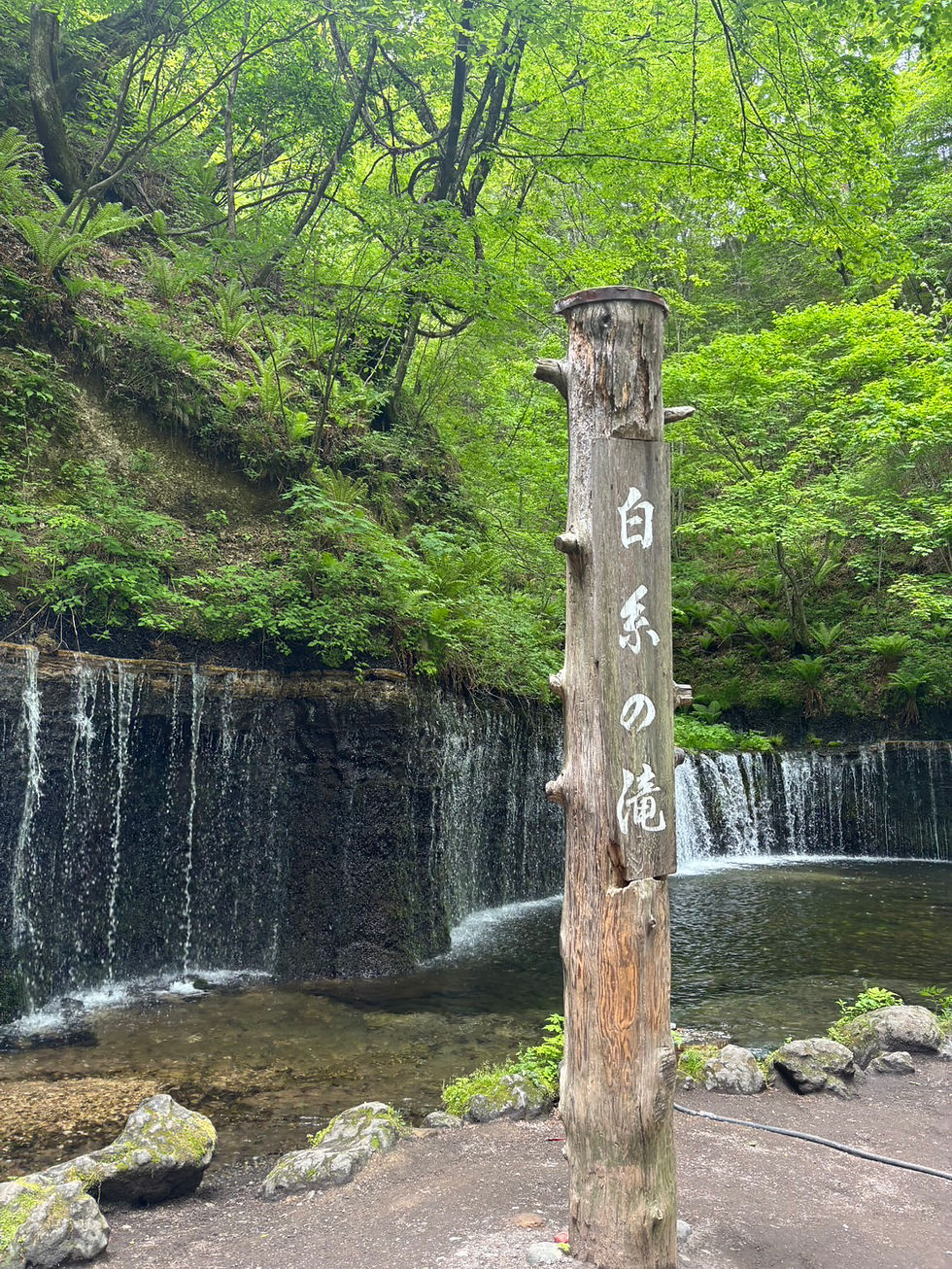 かずき
