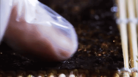 Food in Motion | Food Storytelling in Cinematography
