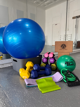 GAP Fitness body fit equipment IMG_4367.HEIC