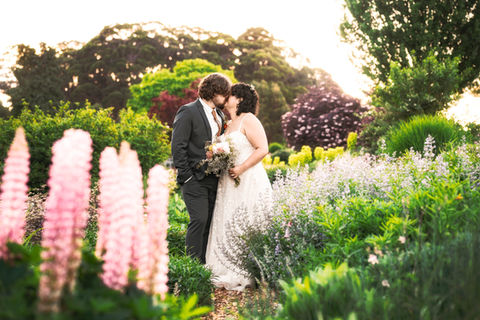 Bridal Photoshoot in Photo field