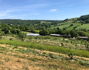 Oxen Park Farm in May