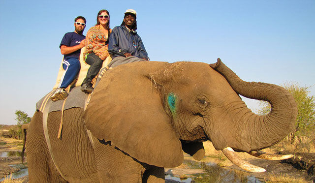 Adventurous Travelers 