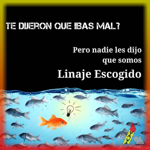 Linaje escogido