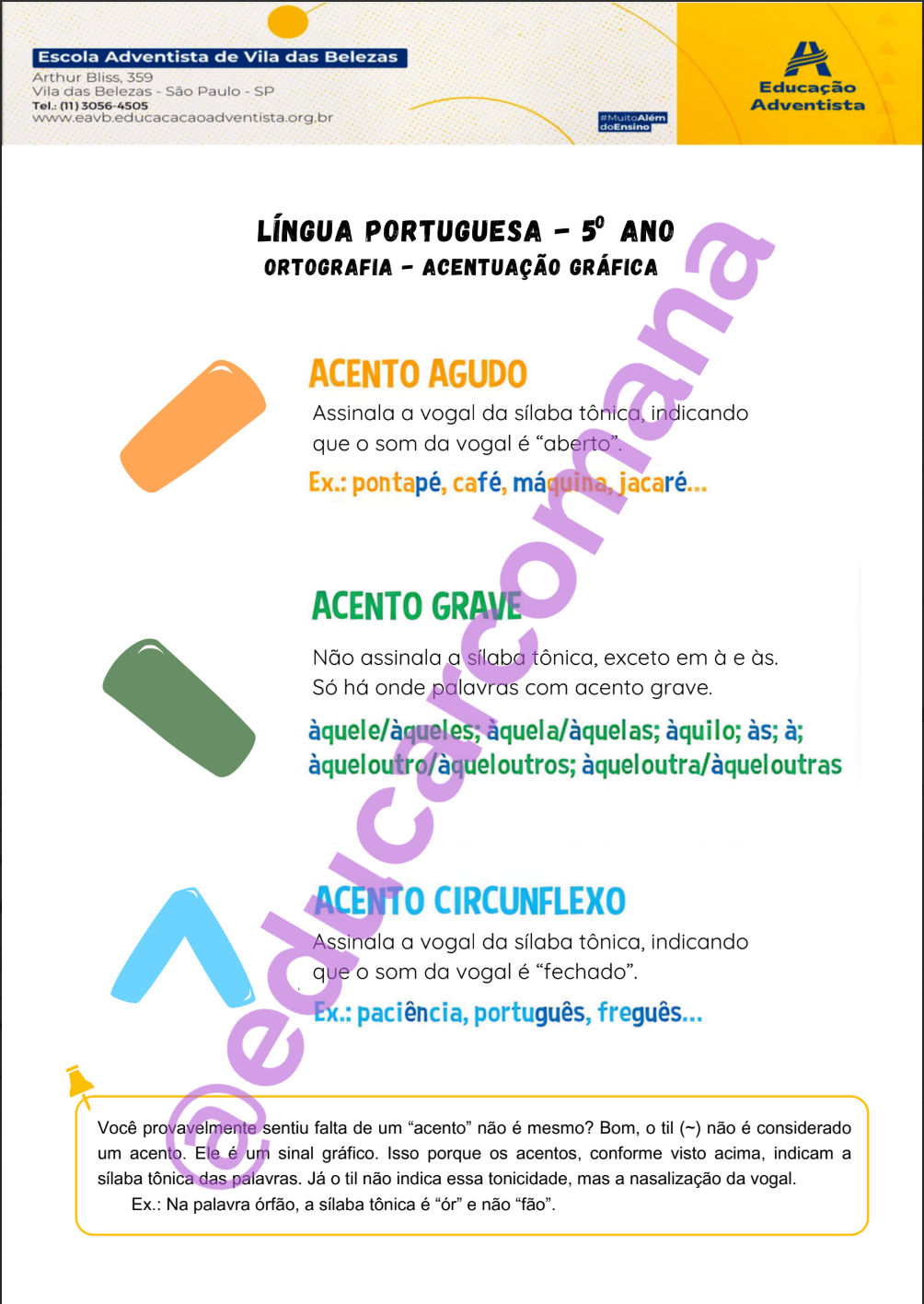 Acentuação Gráfica - Dinâmica + anexo