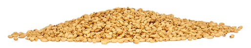 DSC05853.png