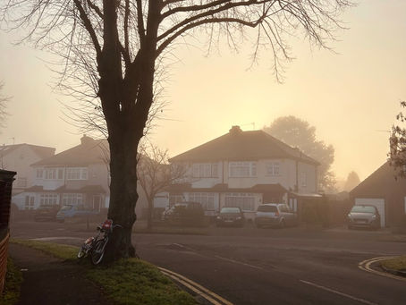 Why it's good to hibernate in winter.