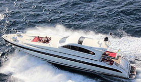 Arno Leopard 23 Sport