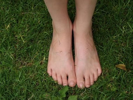 Grounded in Nature: Returning to the Wisdom Beneath Your Feet