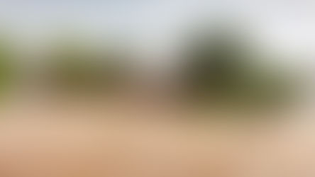 Preparing for natural disasters and the role of lifesaving organizations in disaster relief.