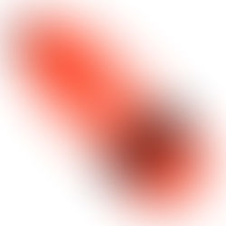 A Lifeguard's equipment...