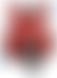 The importance of Lifejackets.