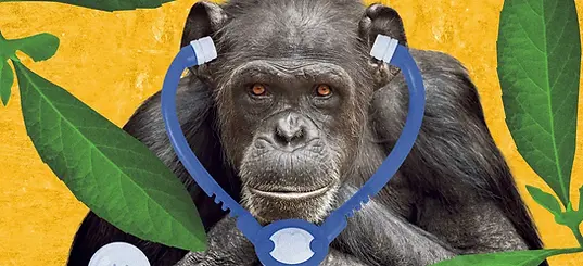 Guardian.webp