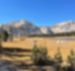 A view of a meadow with a lake underneath rock cliffs