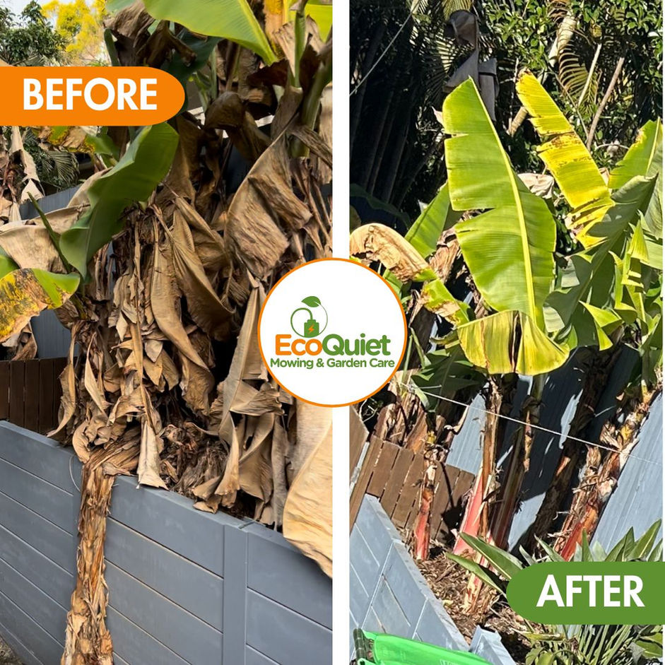 Professional pruning of trees and shrubs for a well-maintained garden.