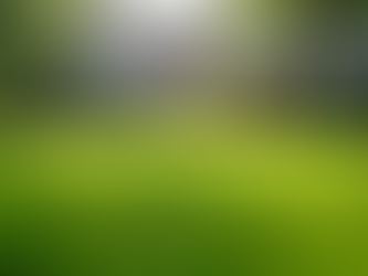 Regular garden maintenance