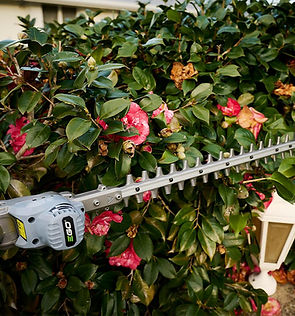 Lawn mowing services Brisbane