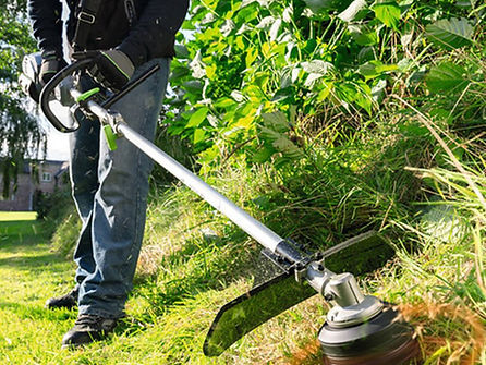 Precise Lawn Edging and Whipper Snipping Services in Brisbane