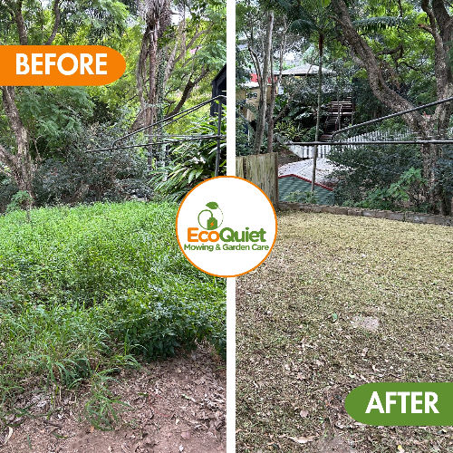 before and after photos of lawn mowing in Brisbane