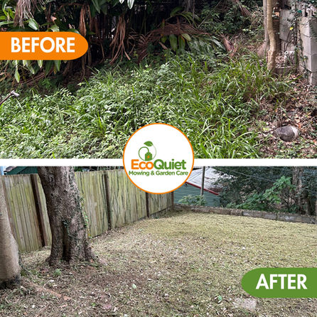 Weeding service removing unwanted plants from a garden for a clean and tidy look.