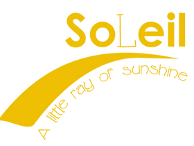 A Little Ray of Sunshine TV Show