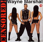 Wayne Marshall