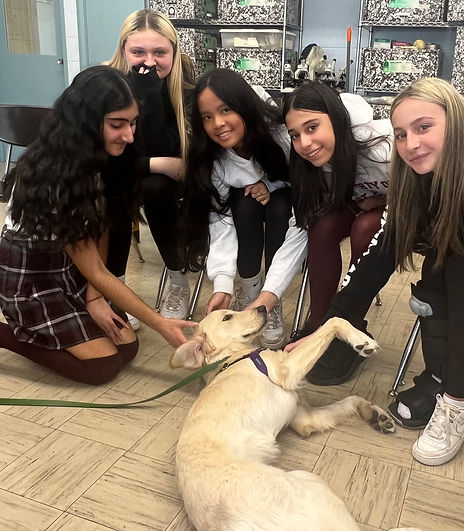 compassionn dog.jpeg