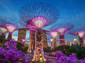 🚀 Mientras Occidente debate, Singapur innova con IA y criptomonedas