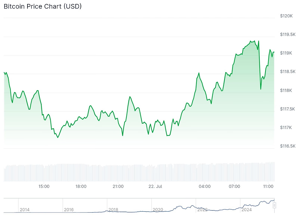 📈 Gráfico del precio de BTC en las últimas 24 horas. 🔗 Fuente: CoinGecko