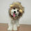 Thumbnail: Costume Lion Mane Wig for Cats & Dogs 