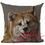 Thumbnail: Cushion Cover Doberman Greyhound Border Collie Dog Pillow Case