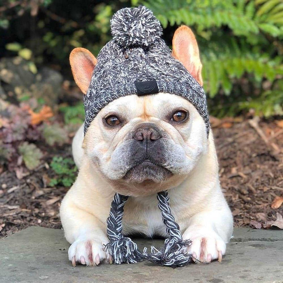 Thumbnail: Knitted Beanie 