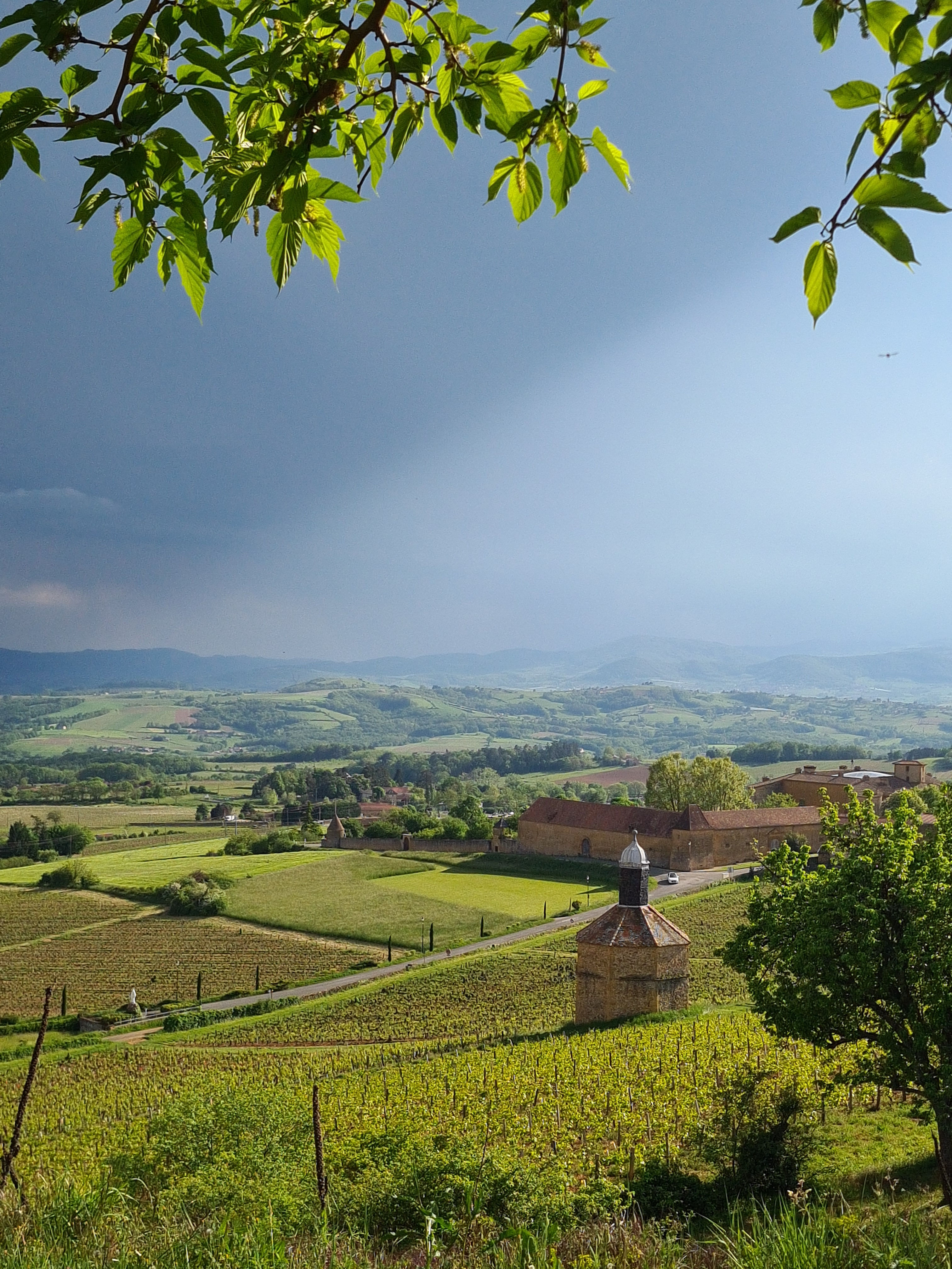 Échappée belle une journée dans les Pierres Dorées pour 4