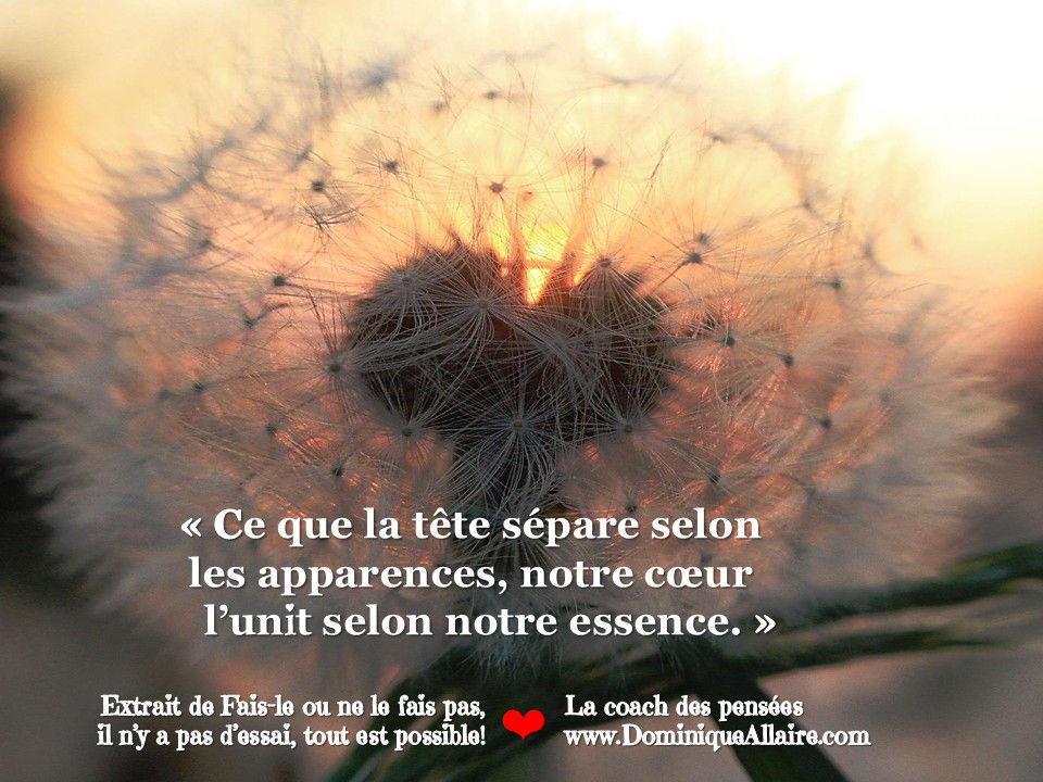Fais-le ou ne le fais pas, il n'y a pas d'essai, tout est possible!