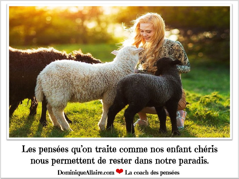 Le 7 octobre 2026