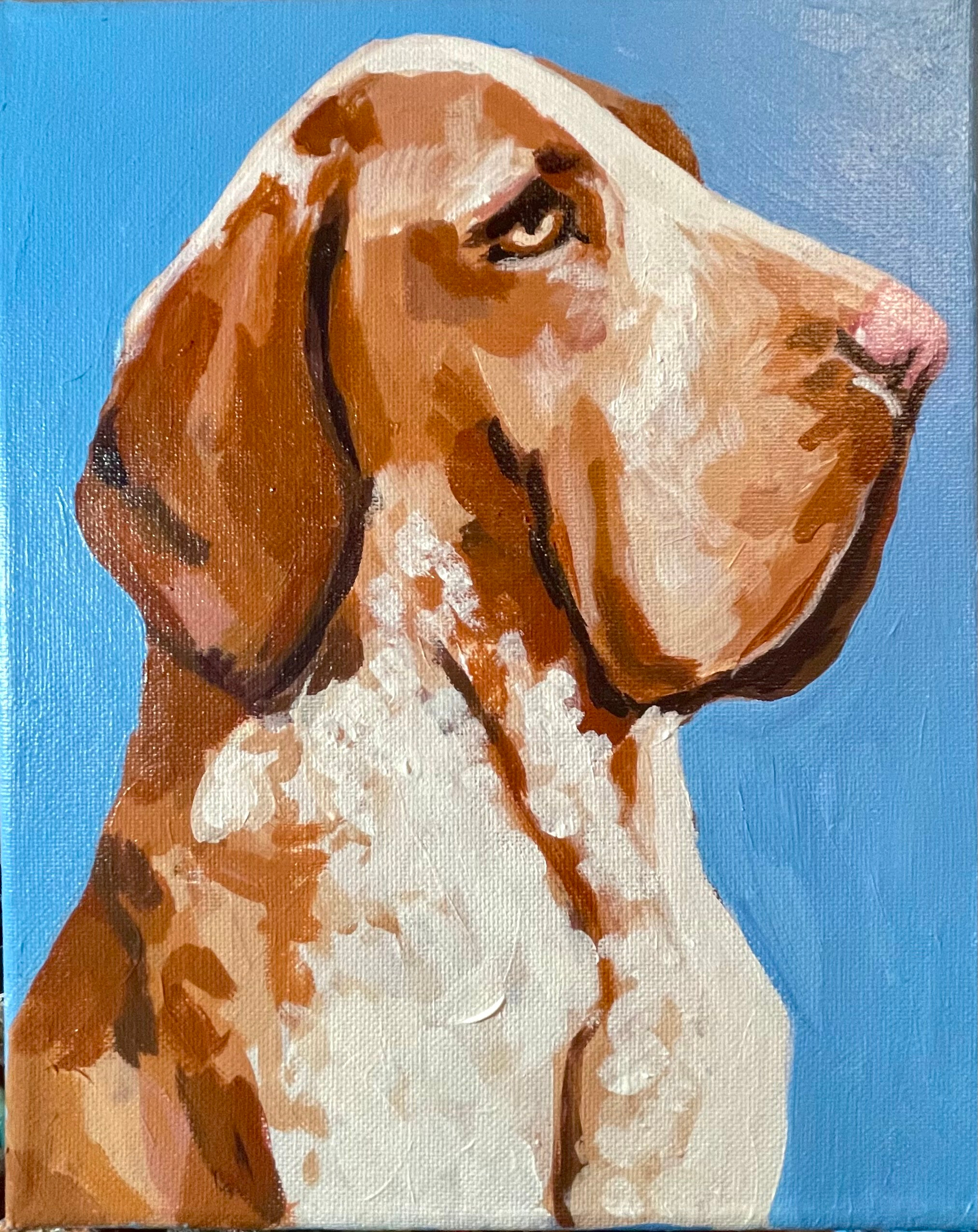 happy hound